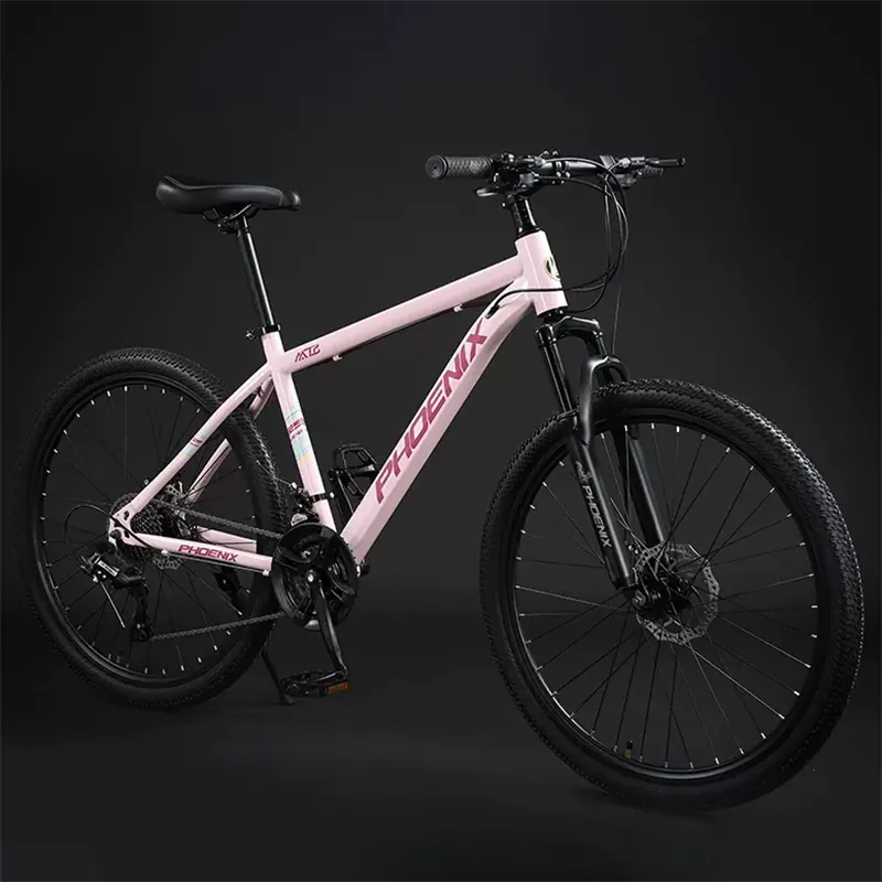 Mountain Bike Unisex — 24-inch wheels | EplusNINE
