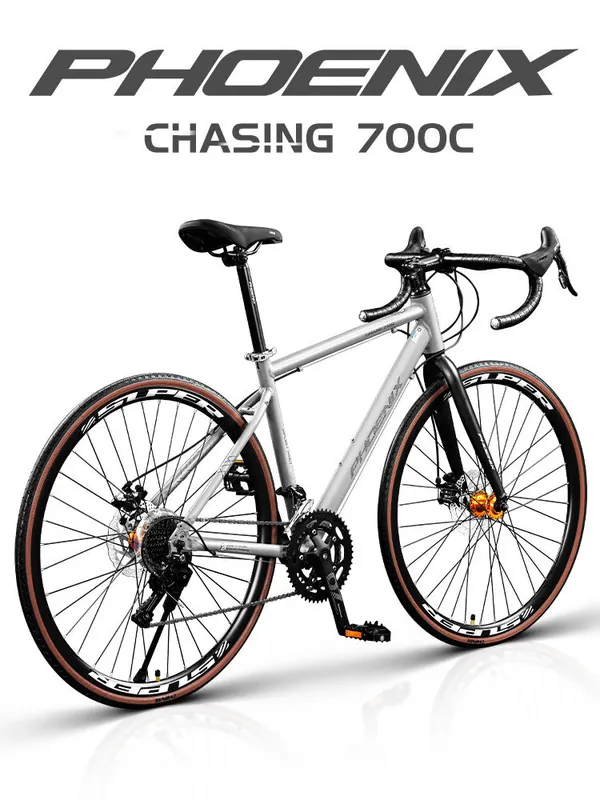 Road Bike — disc brakes