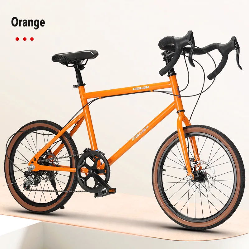 Road Bike Unisex — 20-inch wheels, disc brakes | EplusNINE
