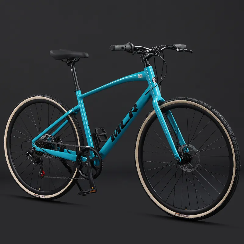 Road Bike — 700c wheels, 7-speed, disc brakes | EplusNINE