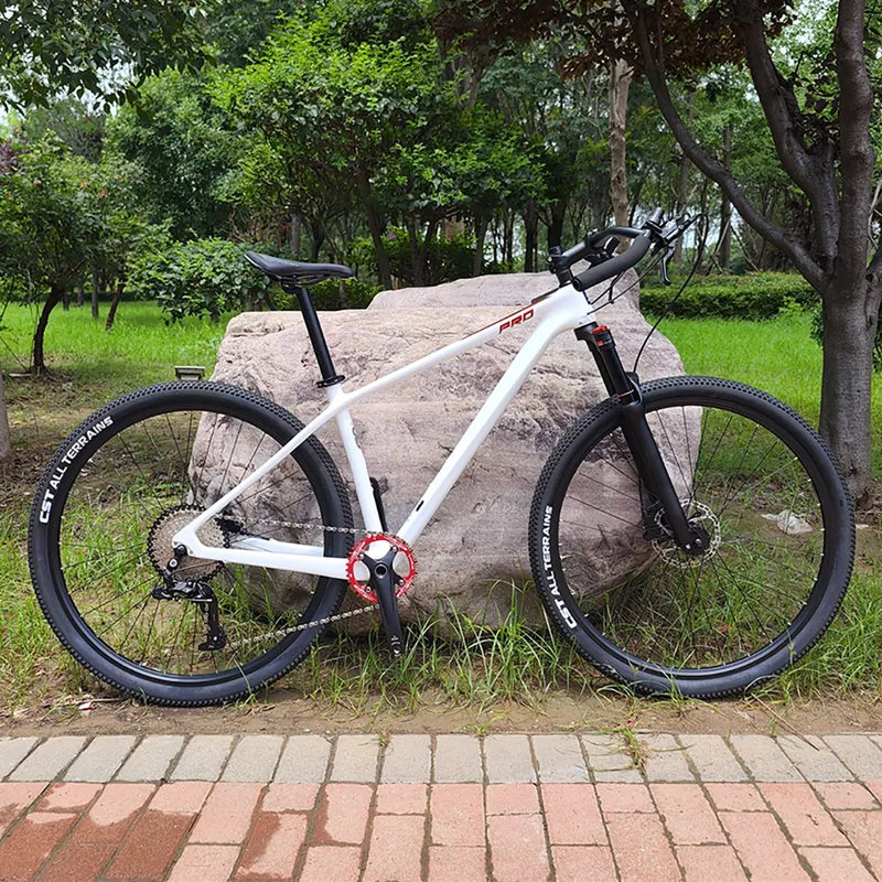Mountain Bike — 19-inch wheels, 11-speed | EplusNINE