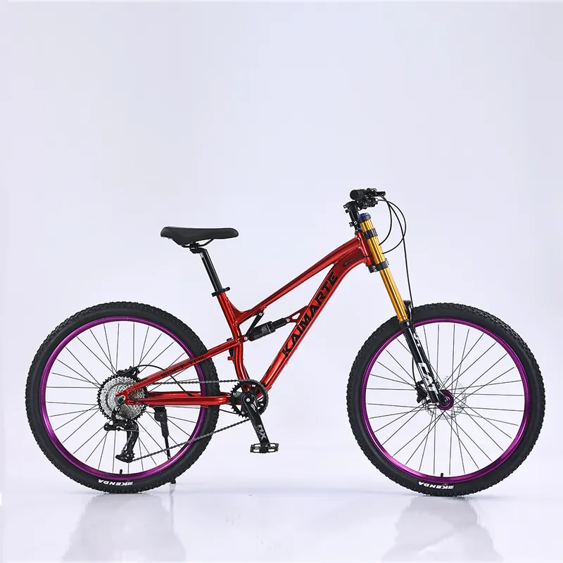 Mountain Bike — 26-inch wheels, 12-speed | EplusNINE