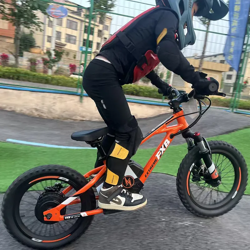 Mountain Bike — 16-inch wheels, 350W motor | EplusNINE
