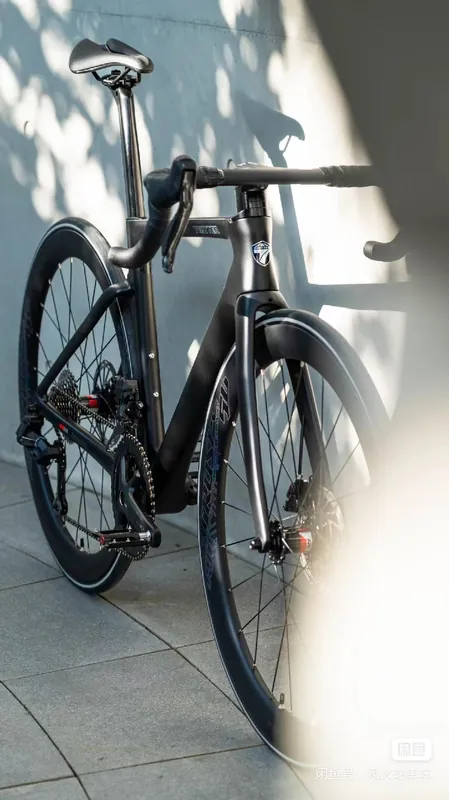Road Bike TWITTER R12pro — carbon fibre frame | EplusNINE
