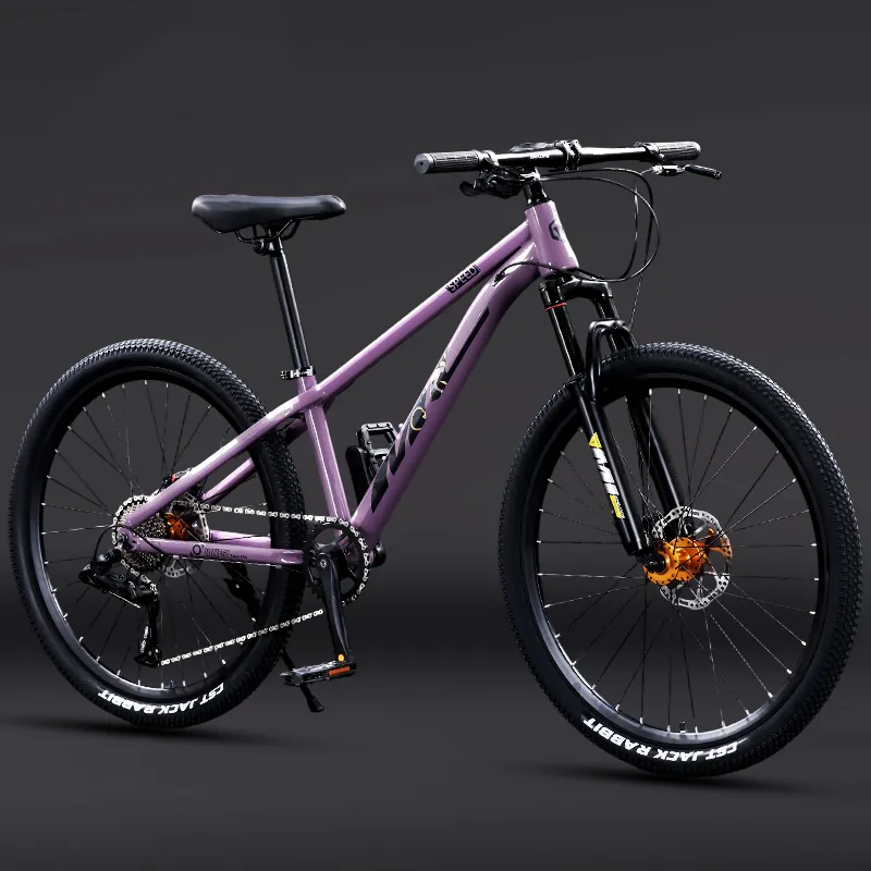 Mountain Bike — 24-inch wheels, 10-speed | EplusNINE