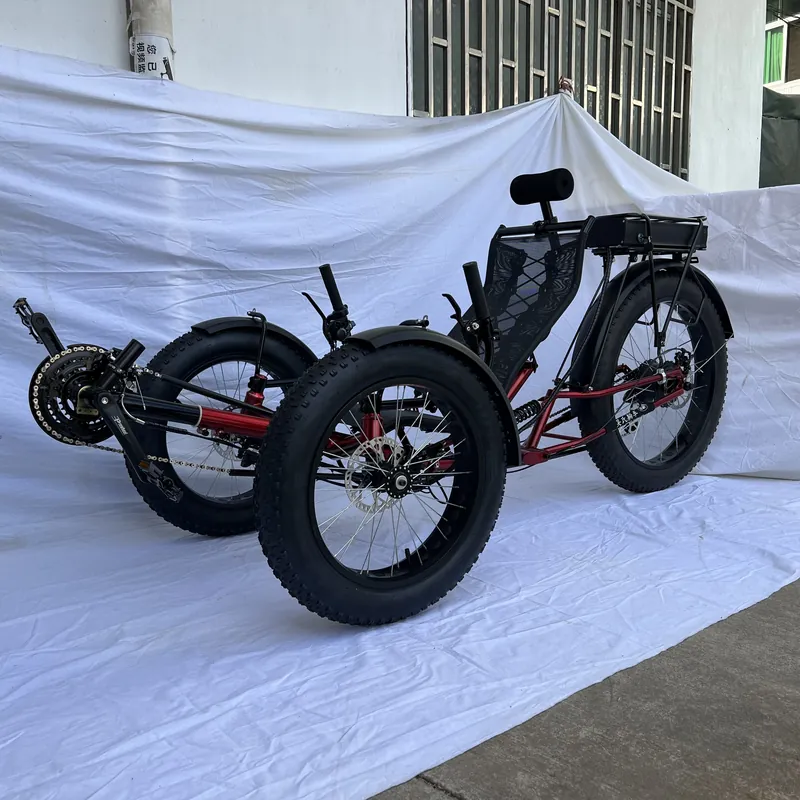 Electric Bike Recumbent — fat tyres, tricycle | EplusNINE