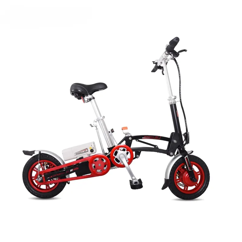Electric Bike — 250W motor, foldable | EplusNINE