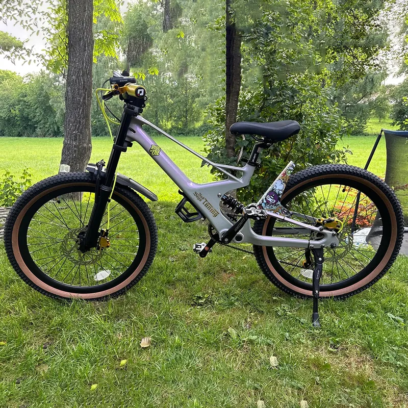 Mountain Bike — 22-inch wheels, soft tail | EplusNINE