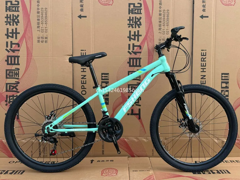 Mountain Bike — carbon fibre frame, disc brakes