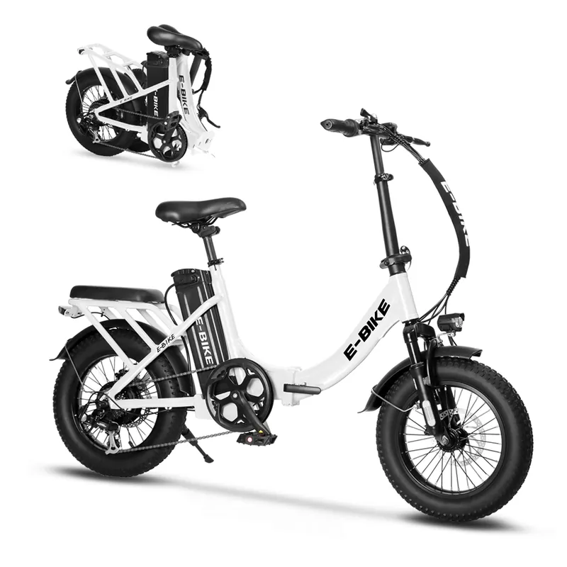 Electric Bike Arrival — 16-inch wheels | EplusNINE