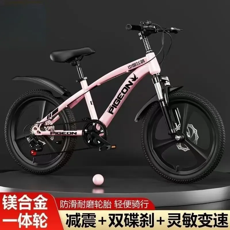Mountain Bike — suspension, disc brakes | EplusNINE