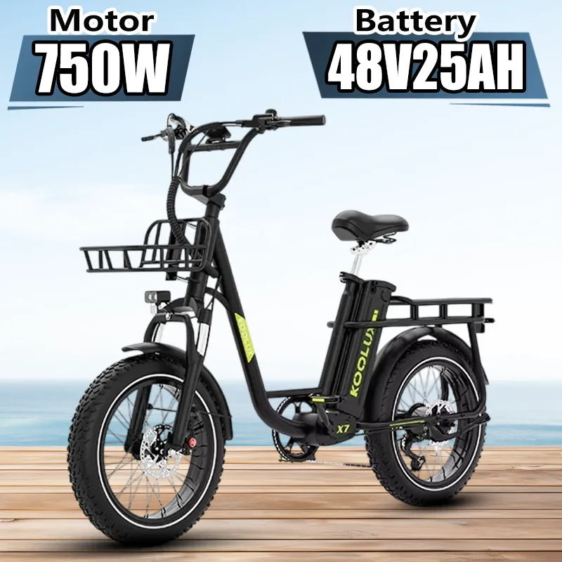 Electric Bike KOOLUX X7 — 20-inch fat tyres | EplusNINE