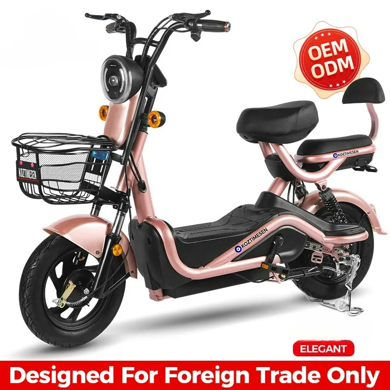 Electric Bike Two-wheeled — 48V battery | EplusNINE