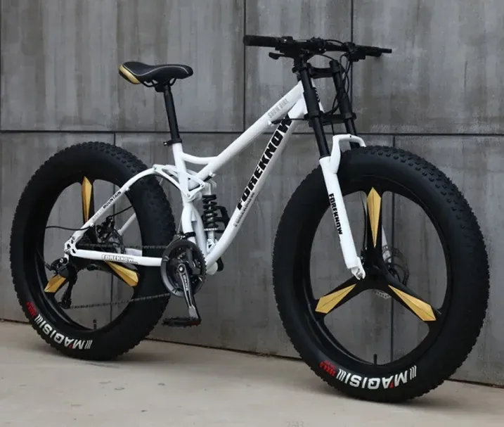 Mountain Bike — 26-inch fat tyres, disc brakes | EplusNINE