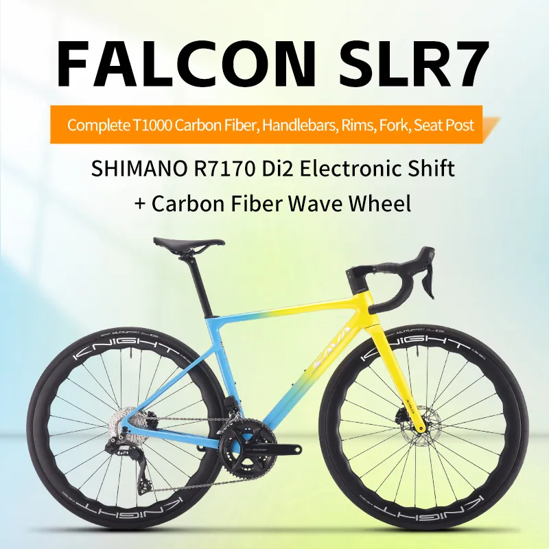 Road Bike SAVA — carbon fibre frame | EplusNINE
