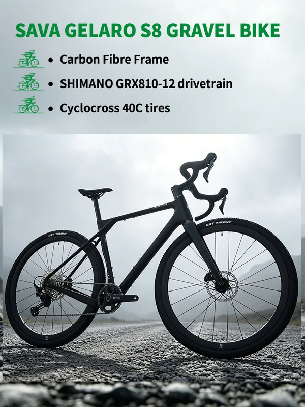 Road Bike R21 — 12-speed, carbon fibre frame | EplusNINE