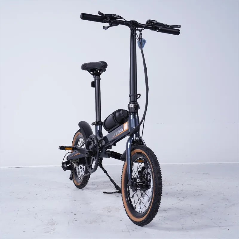 Electric Bike — 16-inch wheels, 250W motor | EplusNINE