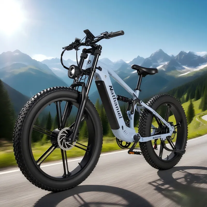 Electric Bike Nathaniel SYR09 — 26-inch fat tyres