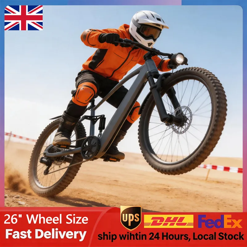 Electric Bike — 250W motor, 36V 13Ah battery | EplusNINE