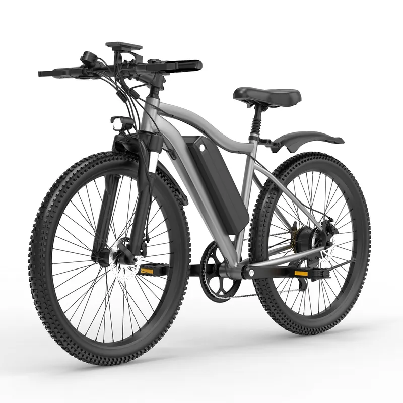 Electric Bike — 250W motor | EplusNINE