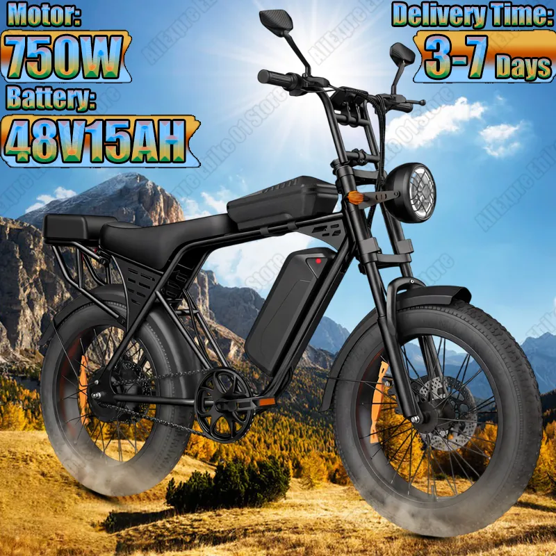 Electric Bike Aairsk X5 — 48V 15Ah battery | EplusNINE