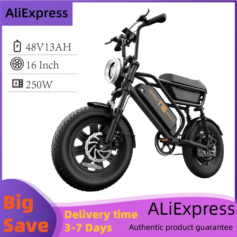 Electric Bike URLIFE T16 — 250W motor | EplusNINE
