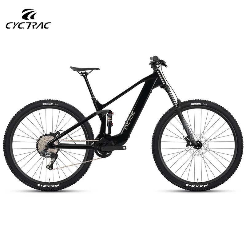 Electric Bike EM19 — 250W motor | EplusNINE
