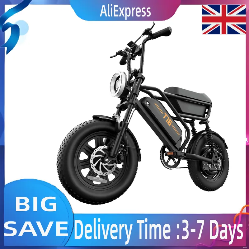 Electric Bike URLIFE T16 — 48V 13Ah battery | EplusNINE