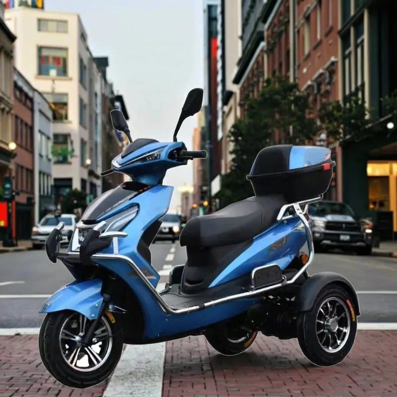 Electric Bike — 1000W motor, tricycle | EplusNINE