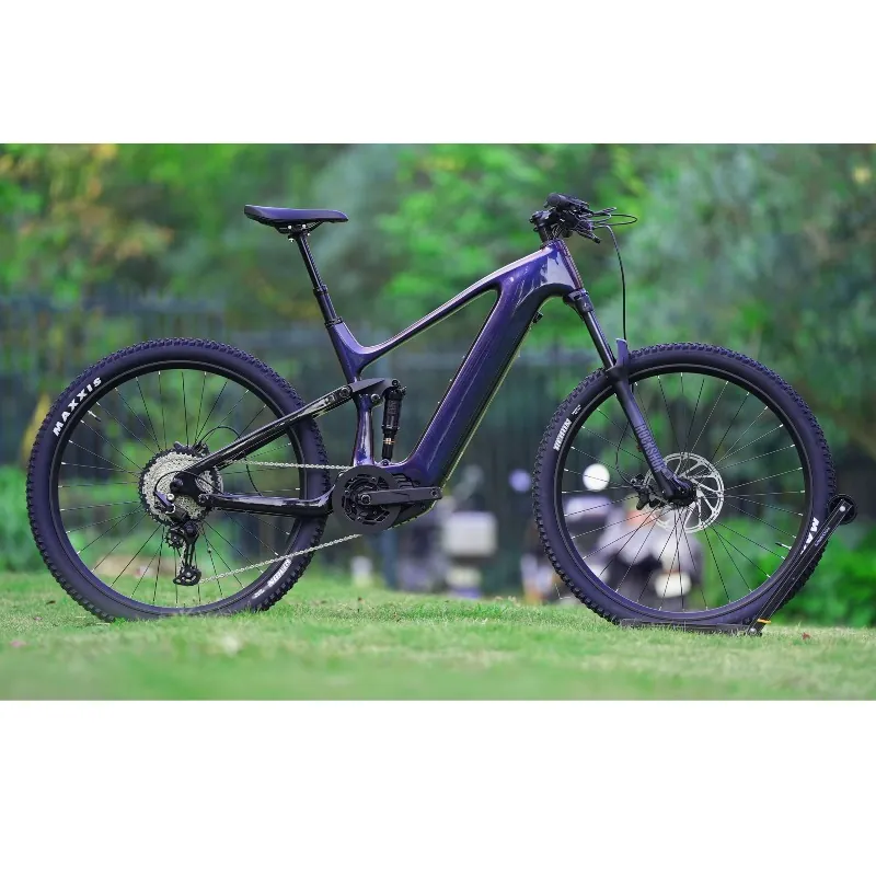 Electric Bike — 29-inch wheels, 48V battery | EplusNINE