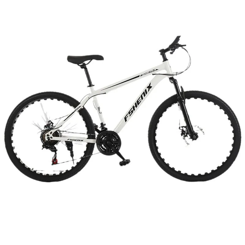 Mountain Bike — 26-inch wheels, disc brakes | EplusNINE