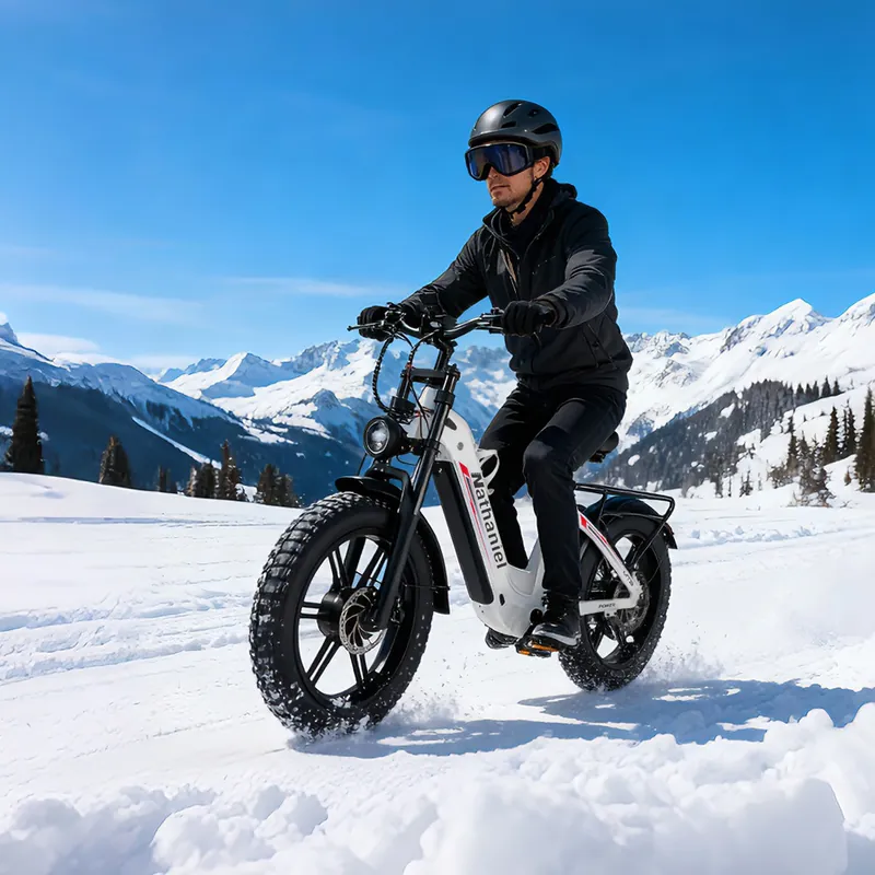 Electric Bike Nathaniel SYR08 — 2000W motor | EplusNINE