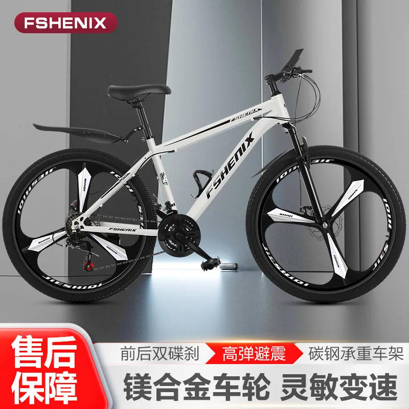 Mountain Bike — shock absorbing, disc brakes