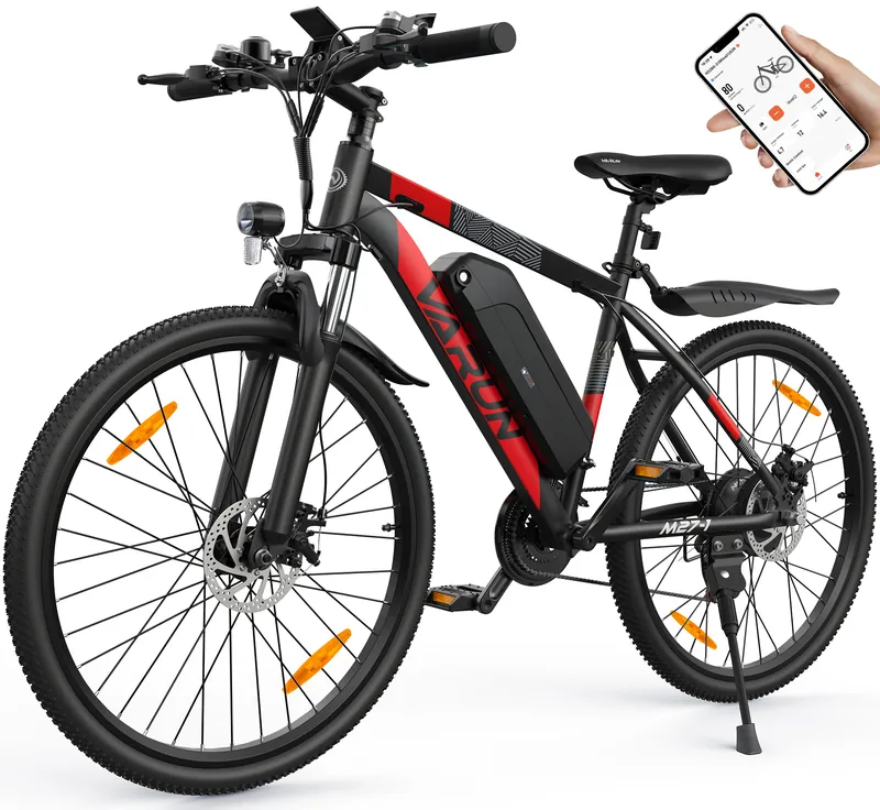Electric Bike VARUN M27-1 — 250W motor | EplusNINE