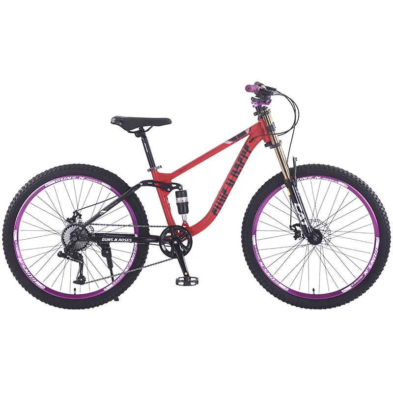Mountain Bike — 26-inch wheels, 10-speed | EplusNINE