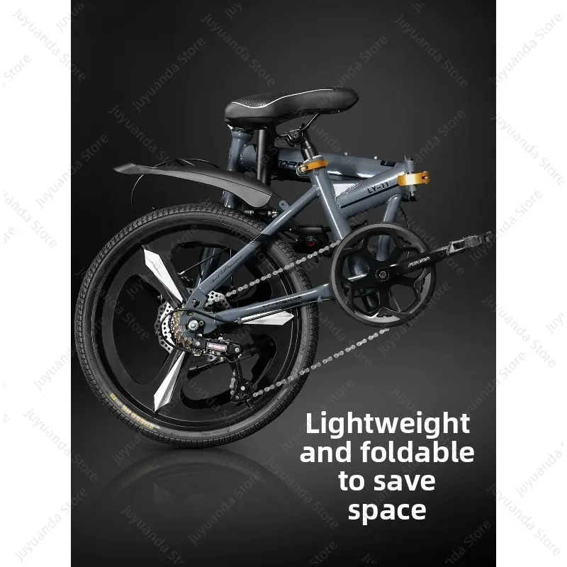 Folding Bike