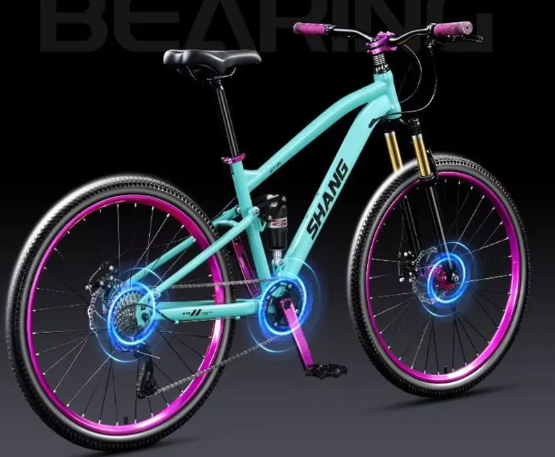 Mountain Bike — soft tail