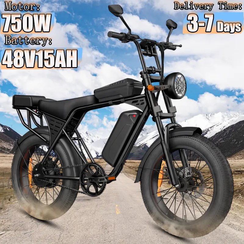 Electric Bike Aairsk X5 — 750W motor | EplusNINE