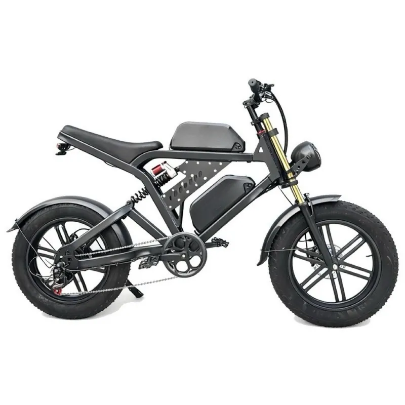 Electric Bike — aluminium frame | EplusNINE