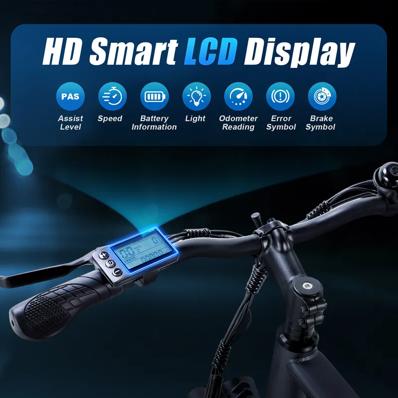Electric Bike — 250W motor, 36V 15Ah battery | EplusNINE