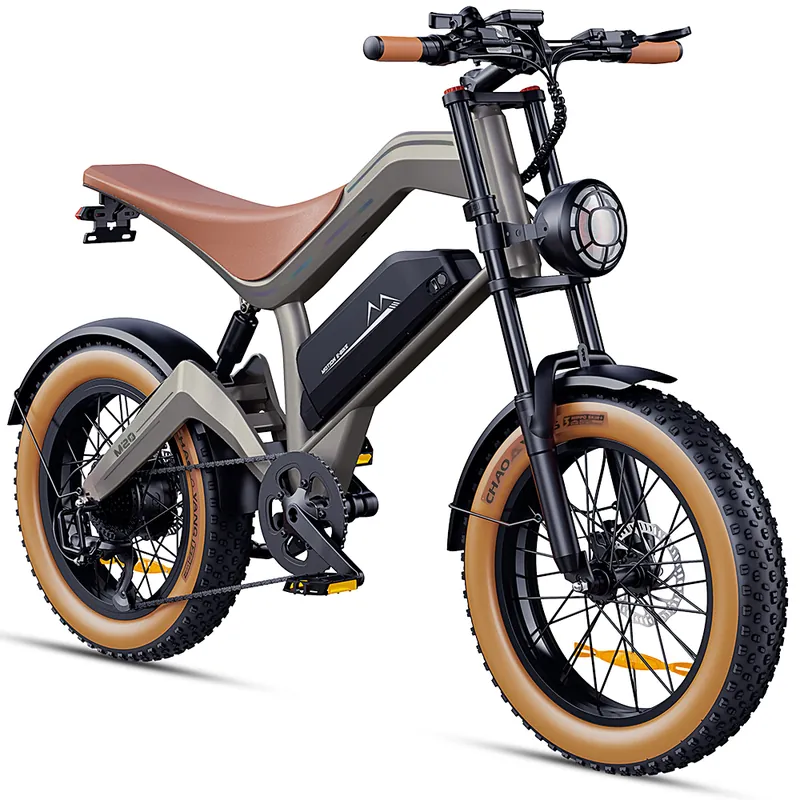 Electric Bike DYU M20 — 20-inch fat tyres | EplusNINE