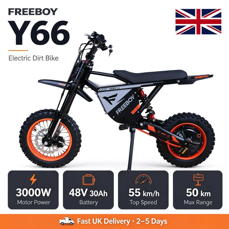 Electric Bike FREEBOY Y66 — 3000W, 48V 30Ah, 12-inch wheels