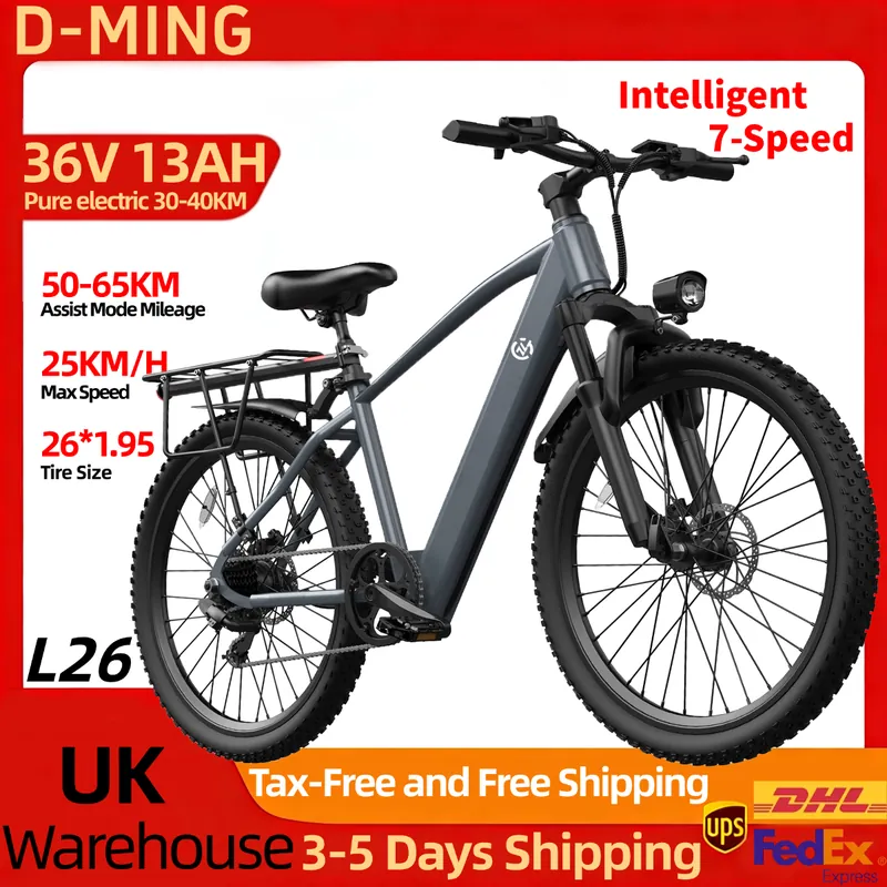 Electric Bike Ding L26 — 26-inch wheels | EplusNINE