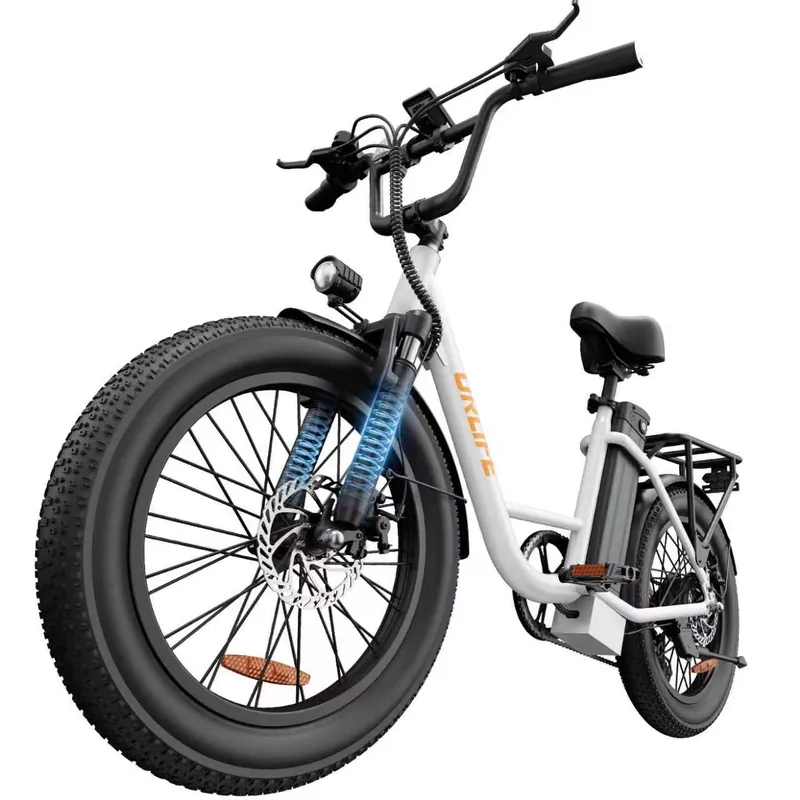 Electric Bike — 250W motor, 48V 13Ah battery | EplusNINE