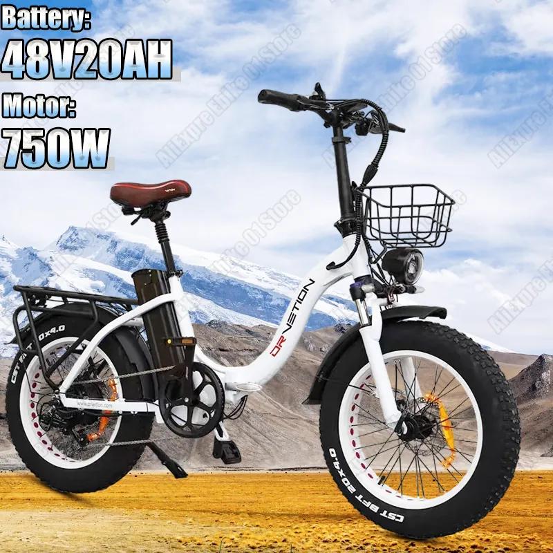 Electric Bike — 20-inch fat tyres, 750W motor | EplusNINE