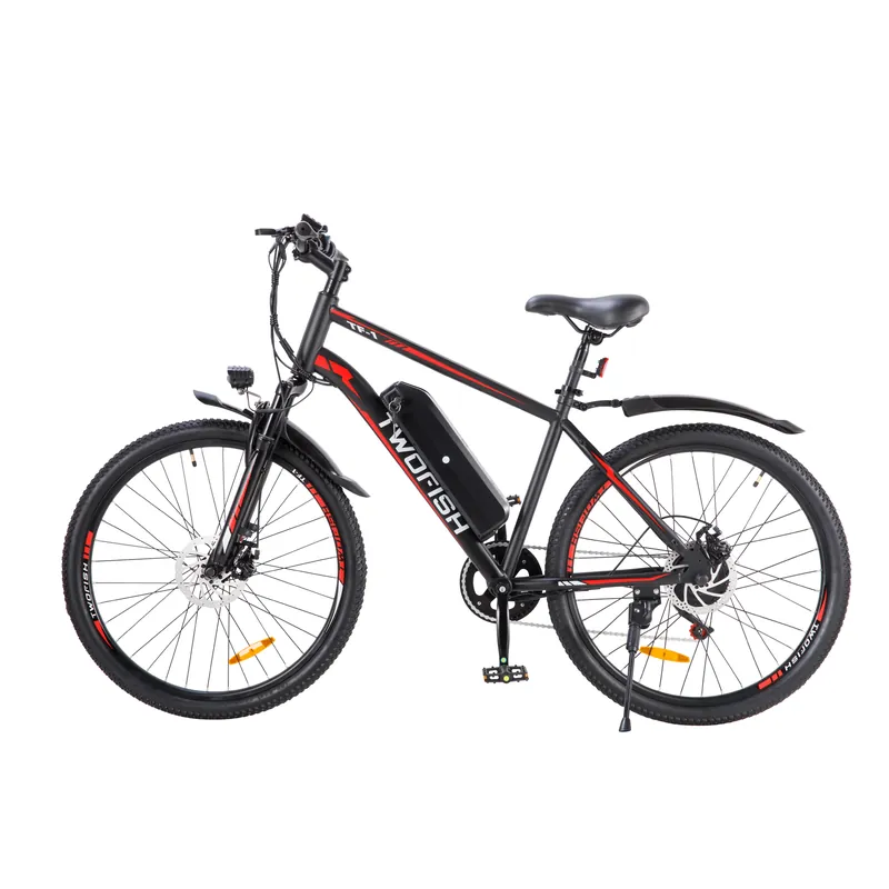 Electric Bike Twofish TF-1 — 26-inch wheels | EplusNINE
