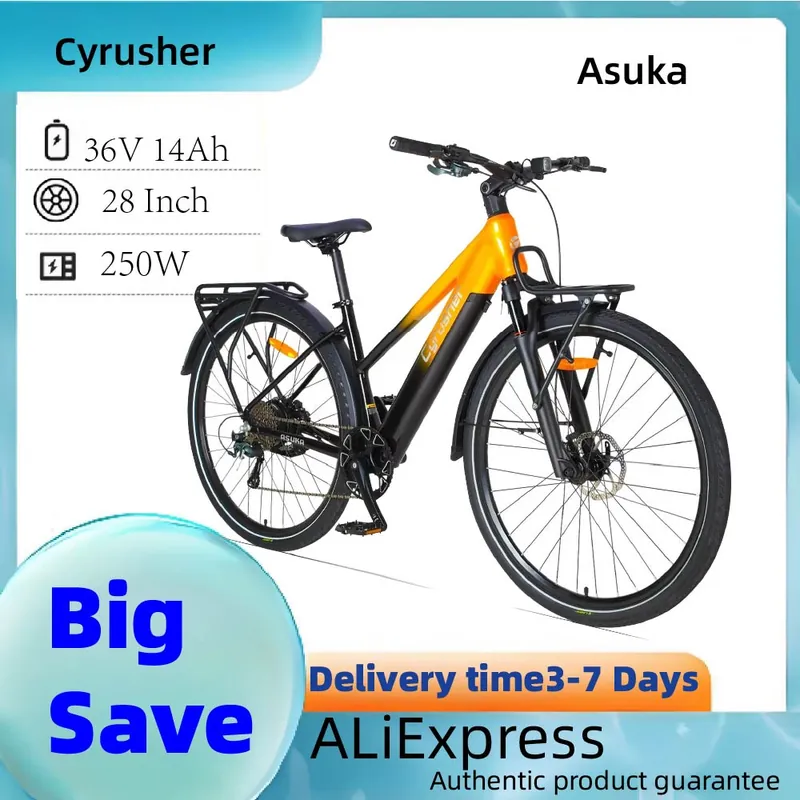 Electric Bike Cyrusher Asuka — 28-inch wheels | EplusNINE