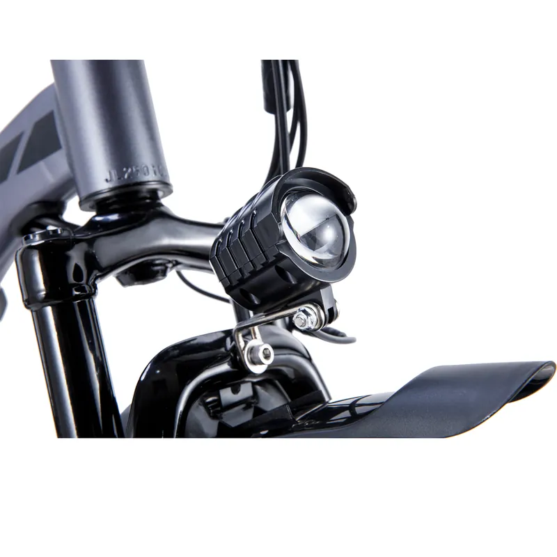 Electric Bike Twofish TF-1 — 250W motor | EplusNINE