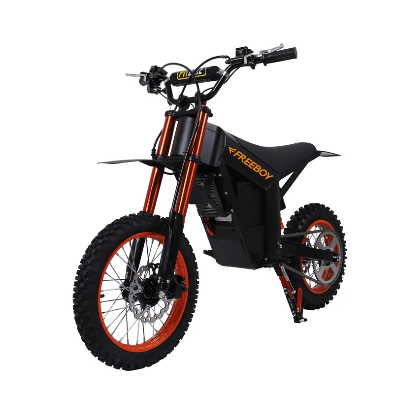 Electric Bike FREEBOY Y01 — 14-inch wheels | EplusNINE