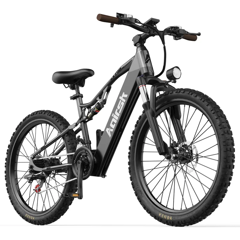 Electric Bike — 250W motor, 48V 20Ah battery | EplusNINE